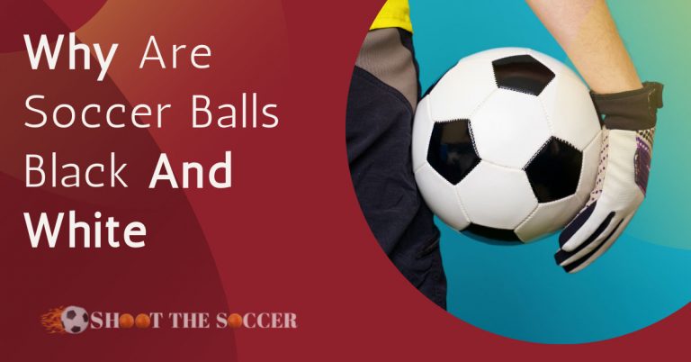 Why Are Soccer Balls Black And White – Shoot The Soccer
